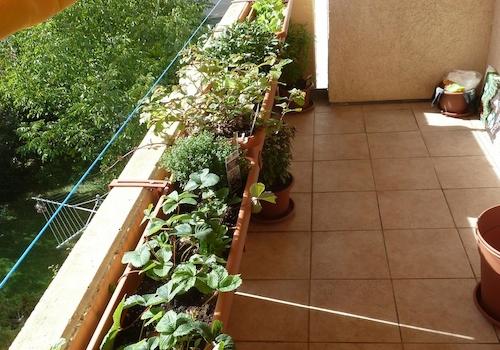 Balkon