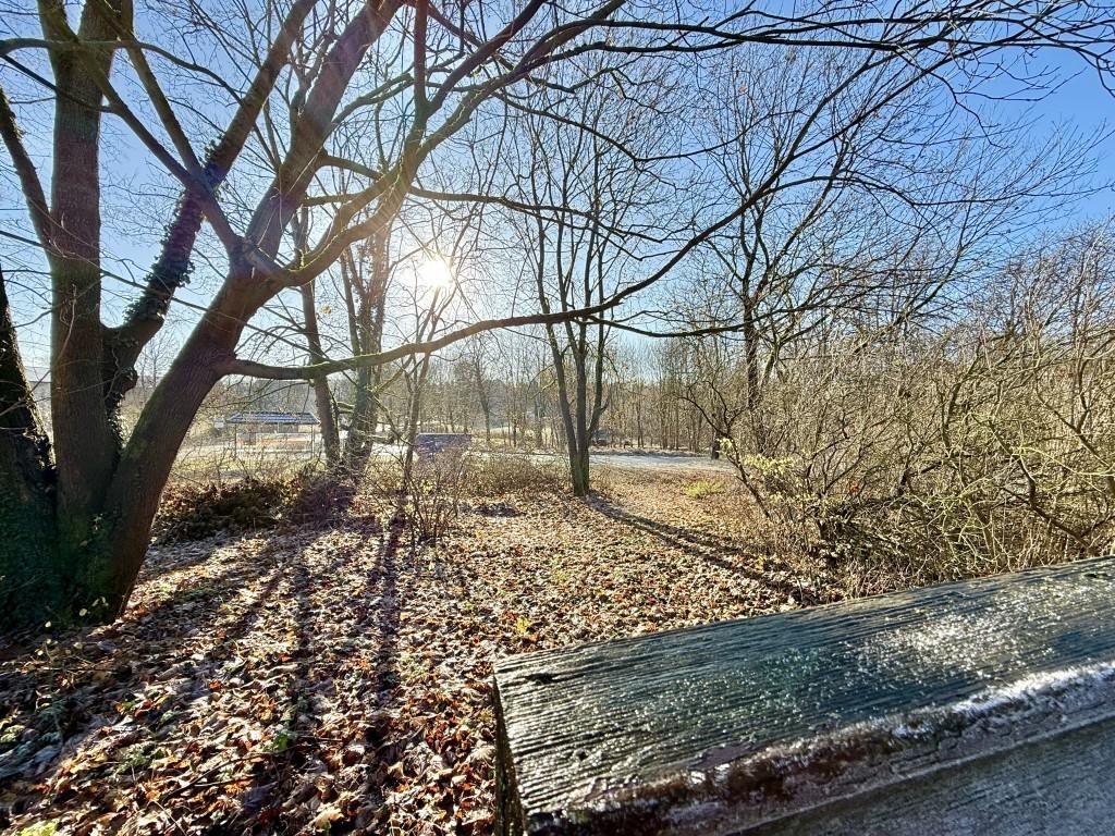 Blick in die Natur