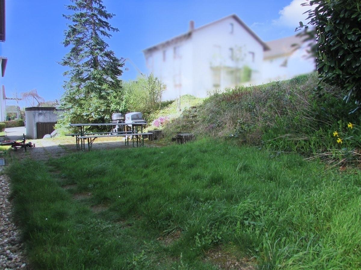 gemeinschaftlicher Garten