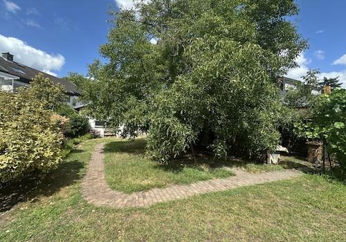 Garten (2)