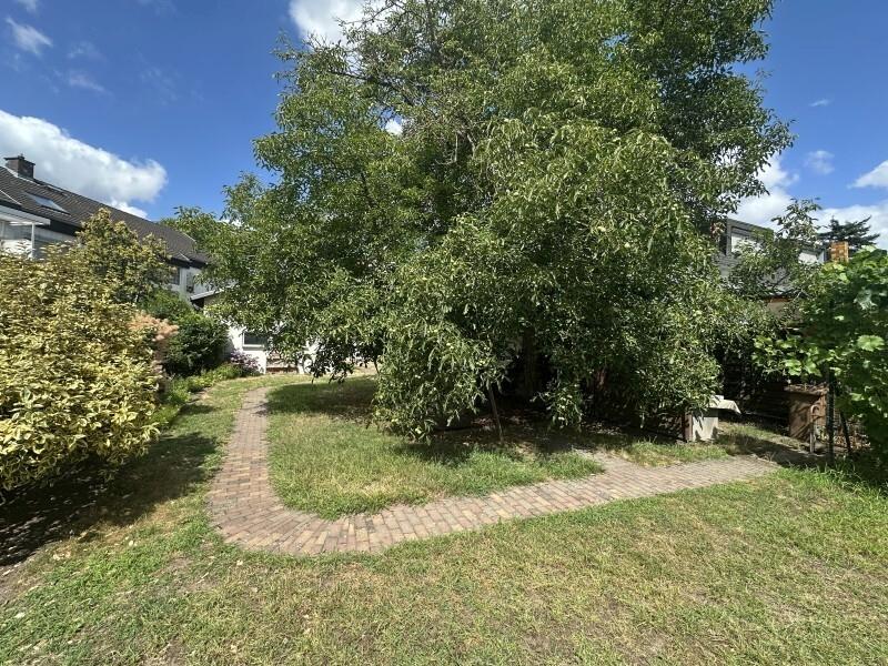 Garten (2)