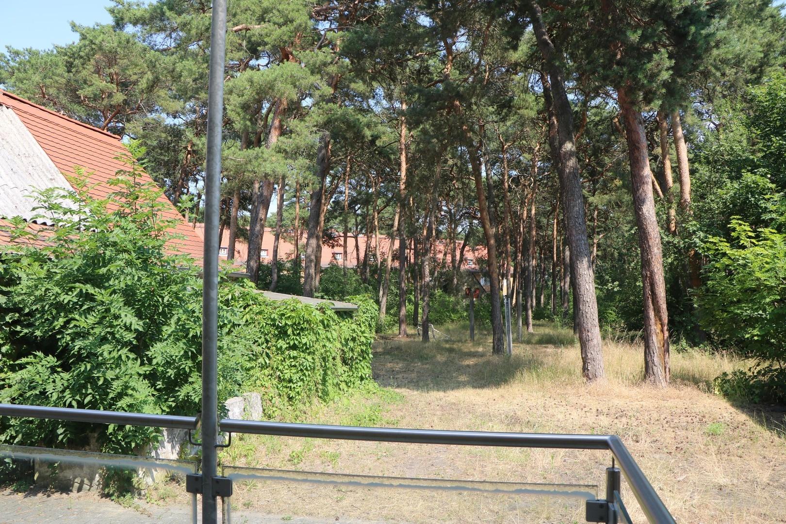 Blick von Terrasse