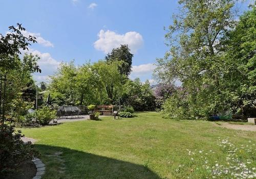 Blick in den Garten
