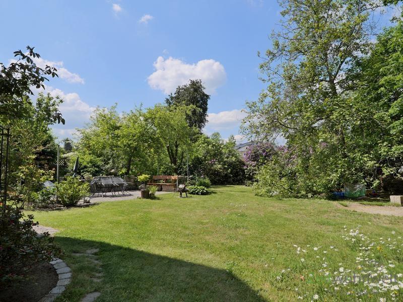 Blick in den Garten