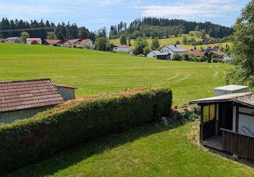 Blick