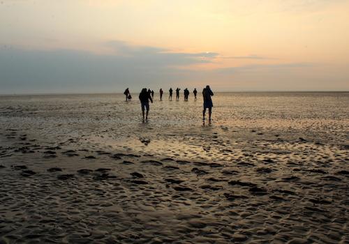 Hamburger Hallig Sonnenuntergang mit Fotogruppe