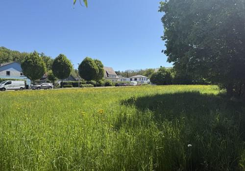 Blick auf die Anliegerstrasse