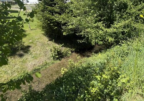 Blick auf den Angelbach