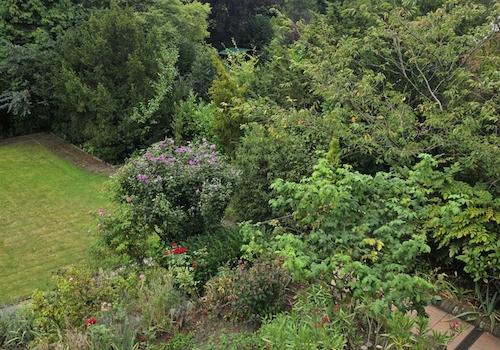 Garten3