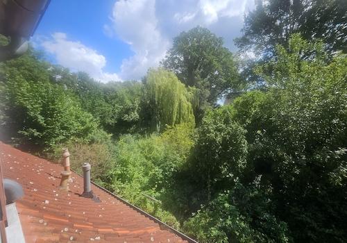 Blick aus der Dachgaube Bad DG