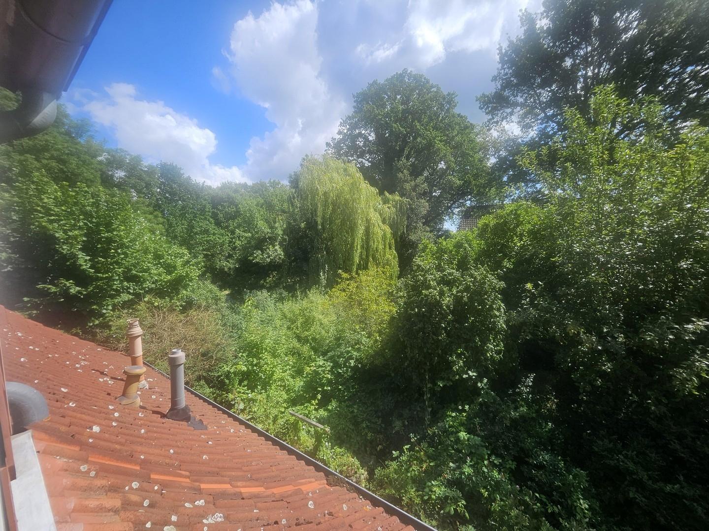 Blick aus der Dachgaube Bad DG