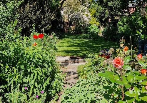 Blick in den Garten