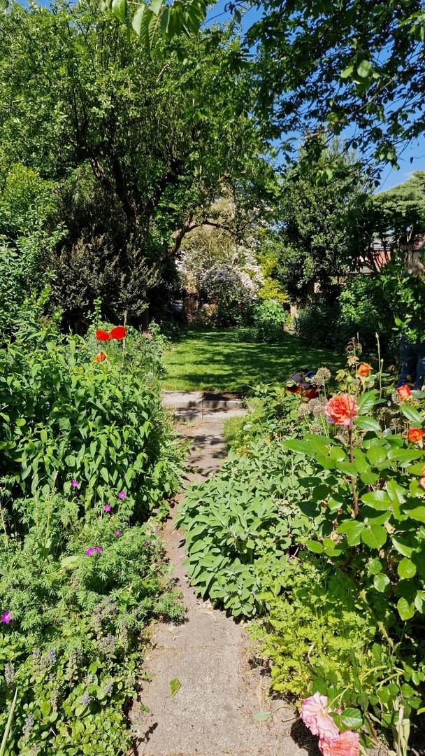 Blick in den Garten