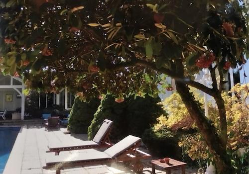 Liegebereich Terrassen