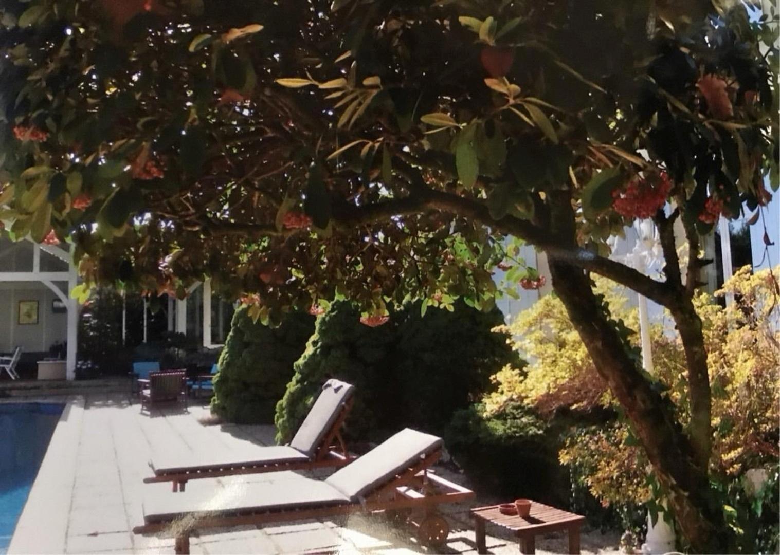 Liegebereich Terrassen