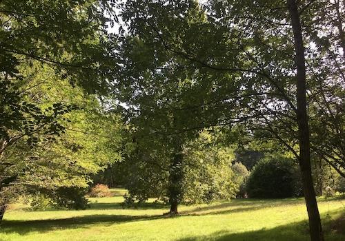 Park