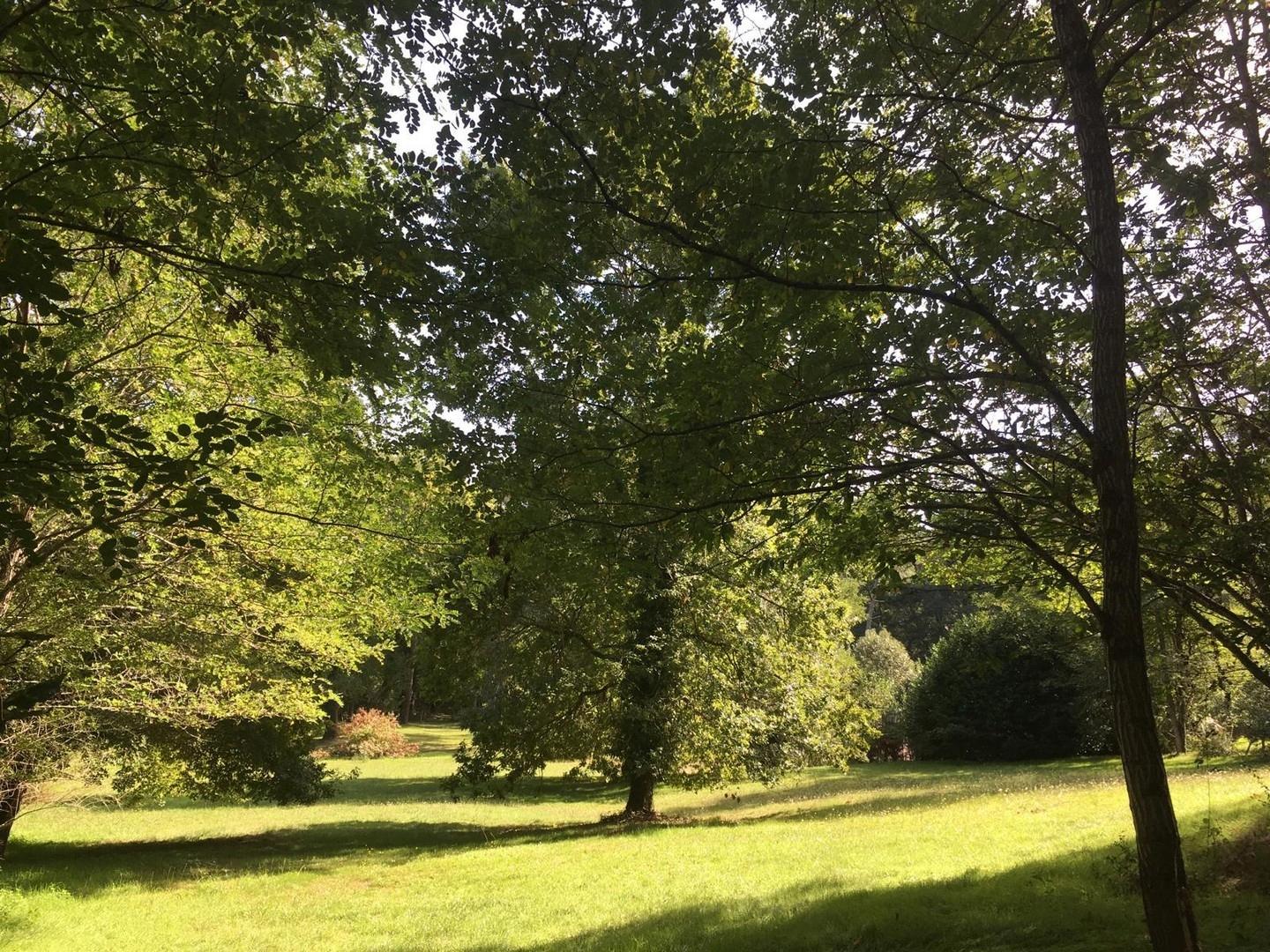 Park