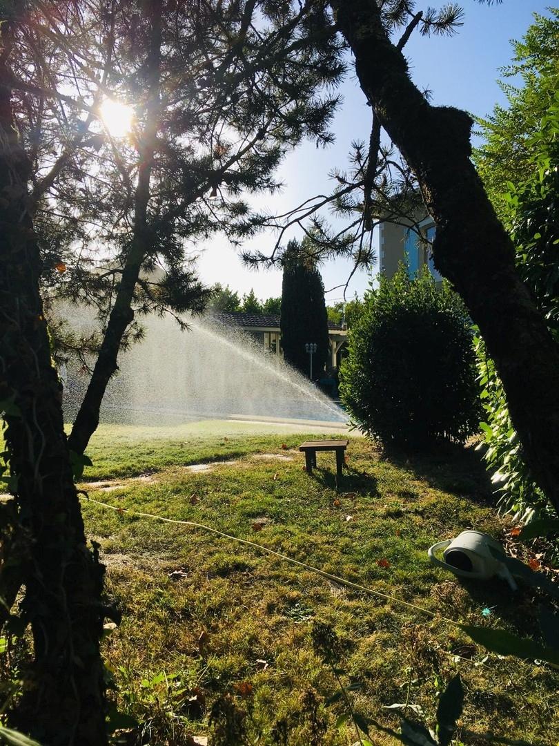 Park