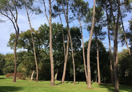 Park