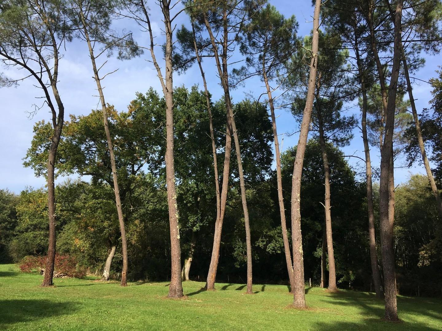 Park