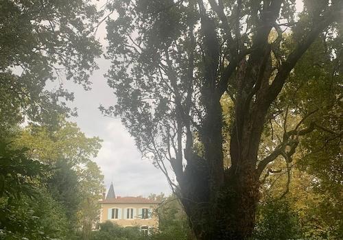 Park