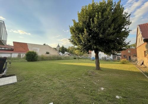 Weitläufiger Gemeinschaftsgarten mit altem Baumbestand