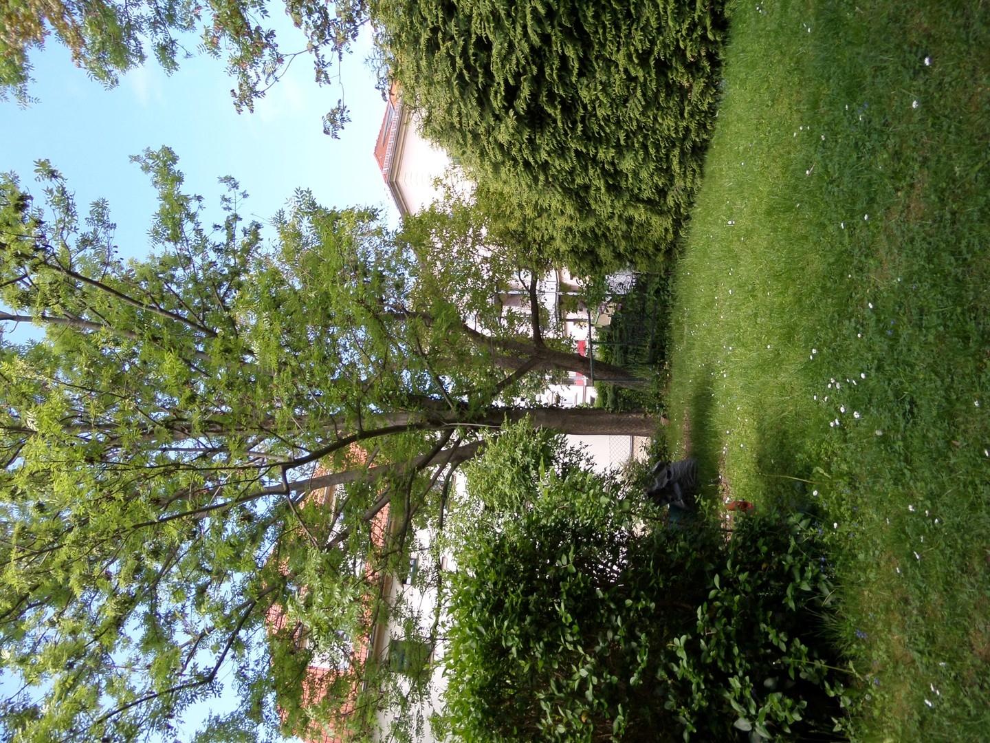 eigener Garten