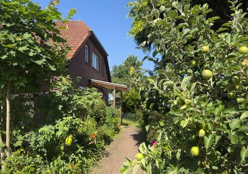 Blick zum Hauseingang