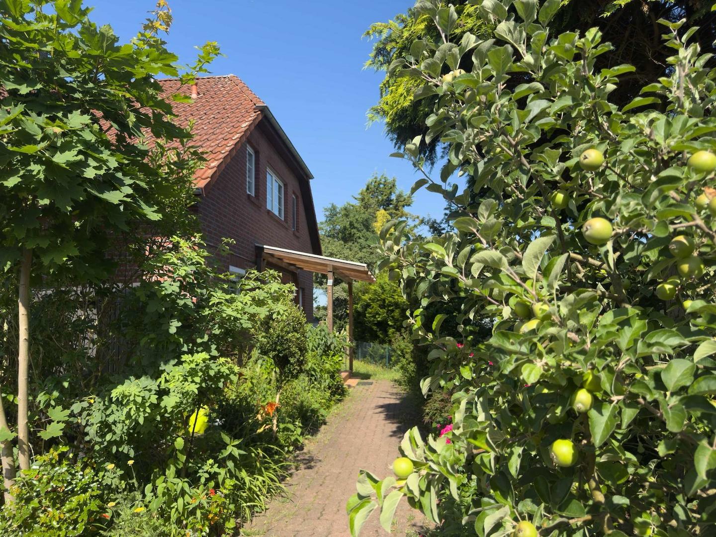 Blick zum Hauseingang