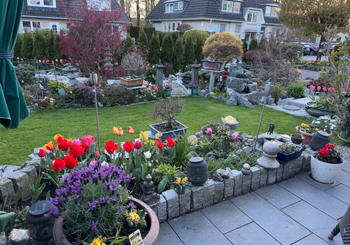 Garten mit Bonsai