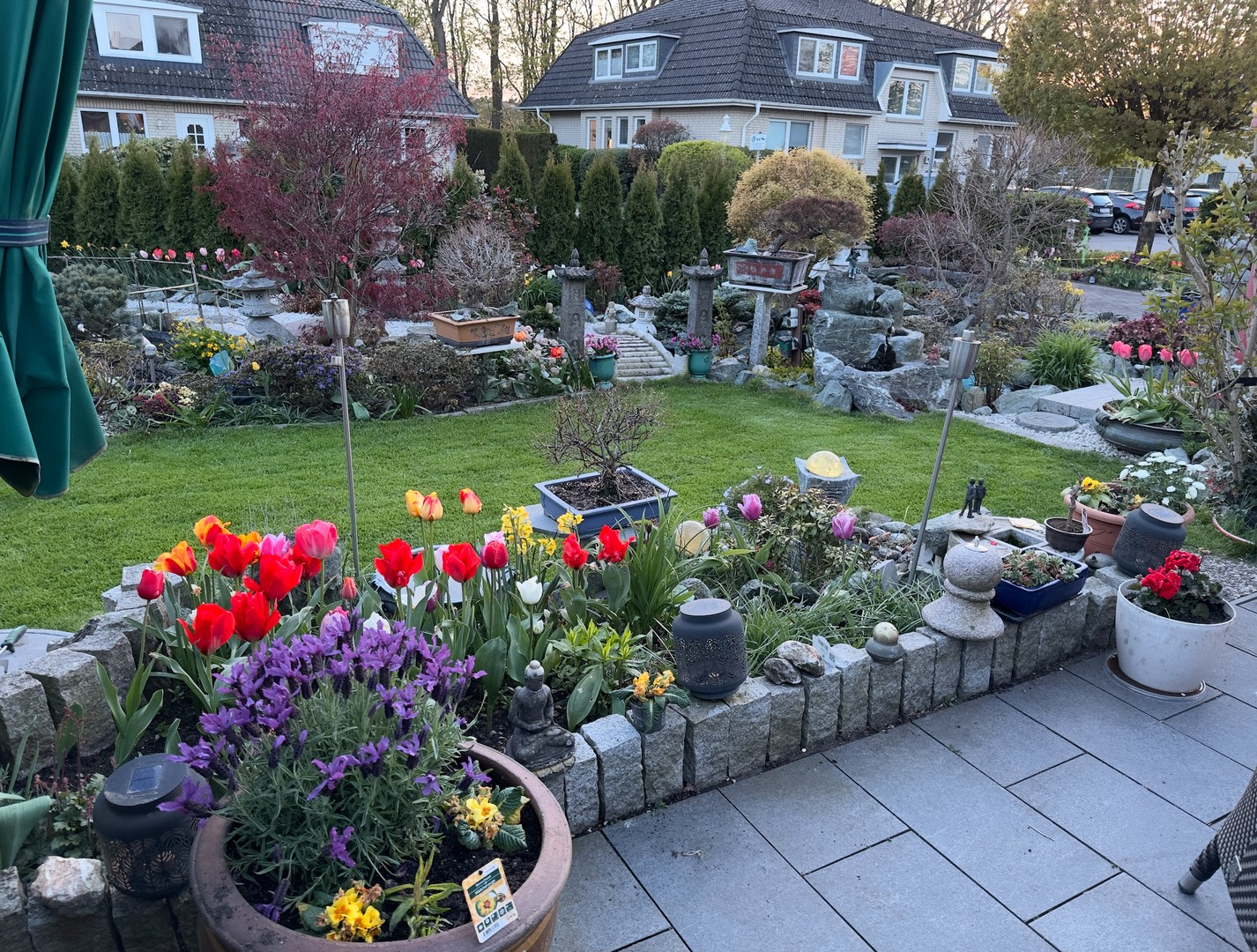 Garten mit Bonsai