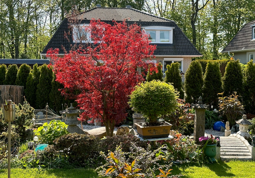 Entspannung im Garten