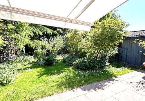 Blick in den Garten