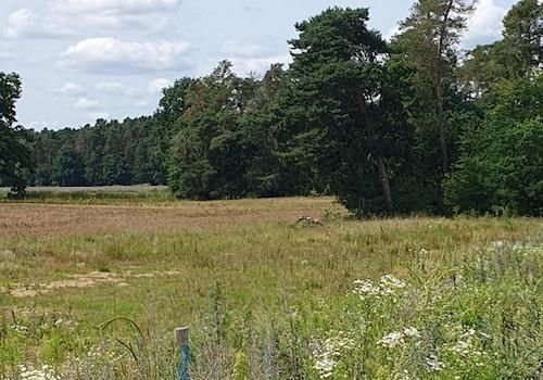 Blickrichtung Süd Westen