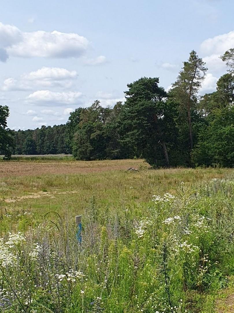 Blickrichtung Süd Westen