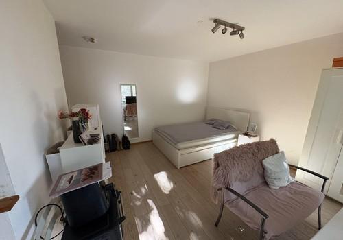 Wohn-Schlafzimmer