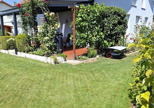 Garten, Terrasse