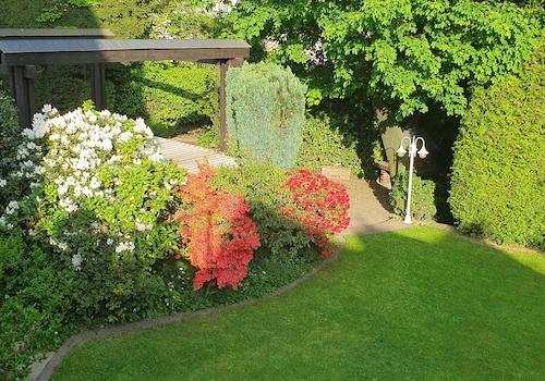 Garten 2