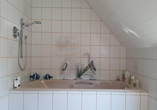 Haupthaus Masterbad 2