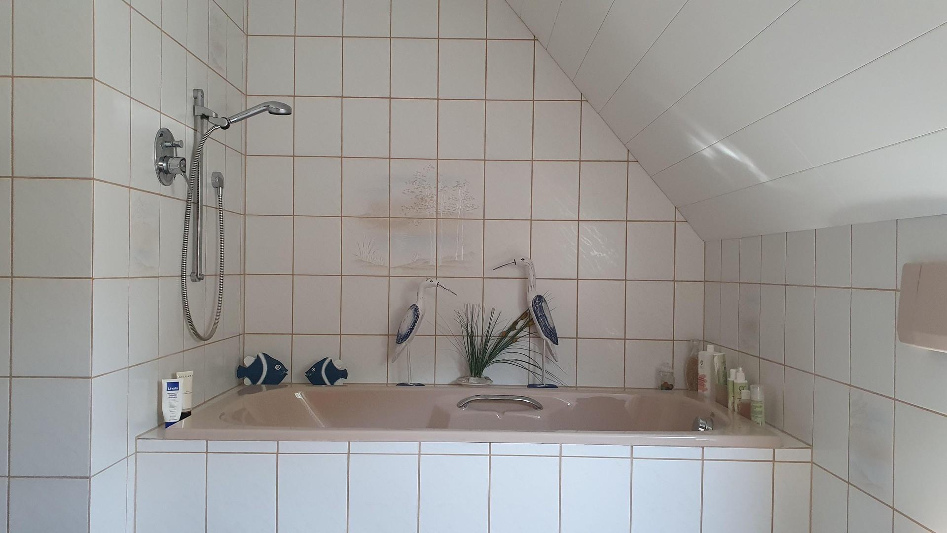 Haupthaus Masterbad 2