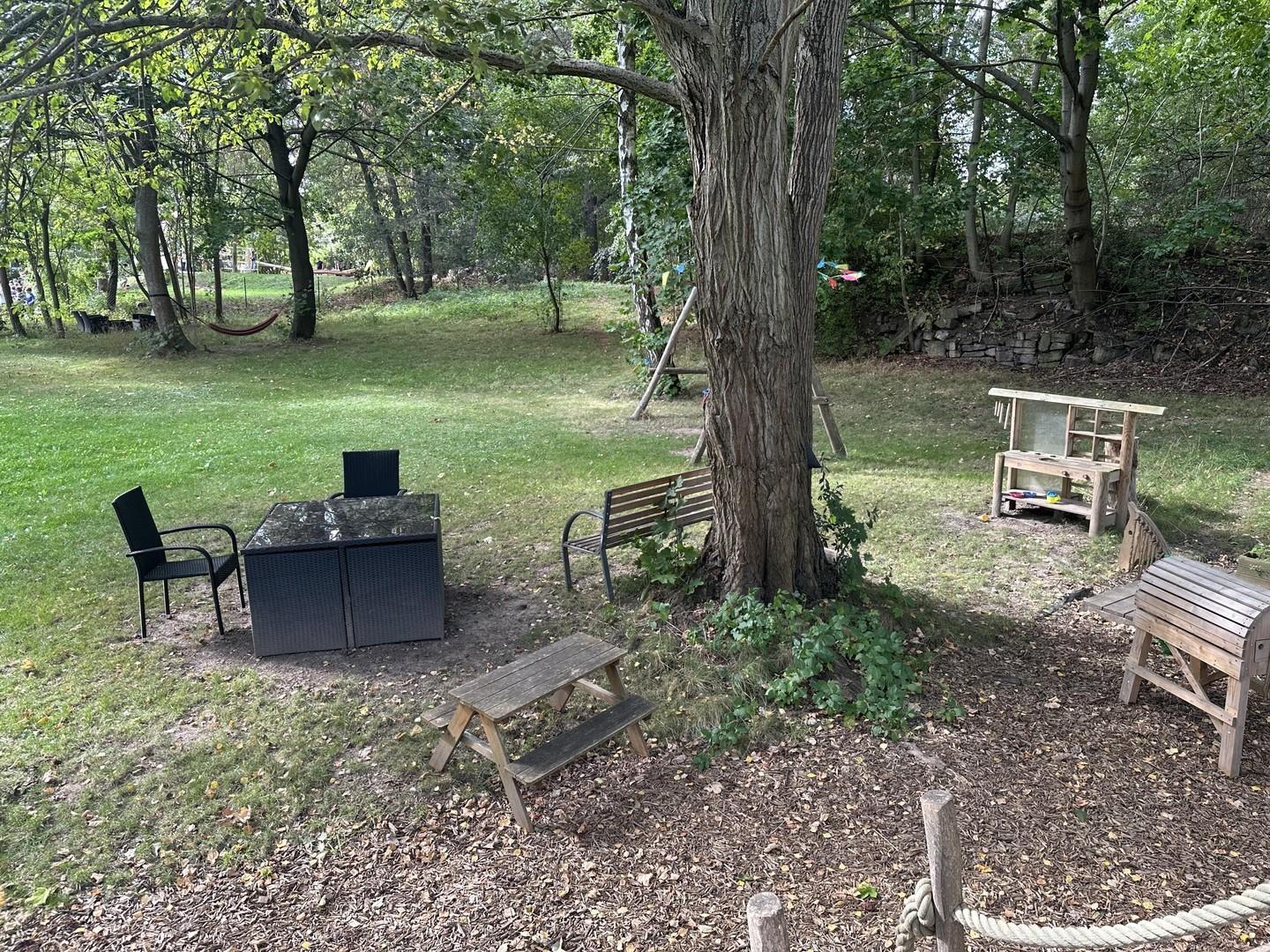 Blick in den Garten 1