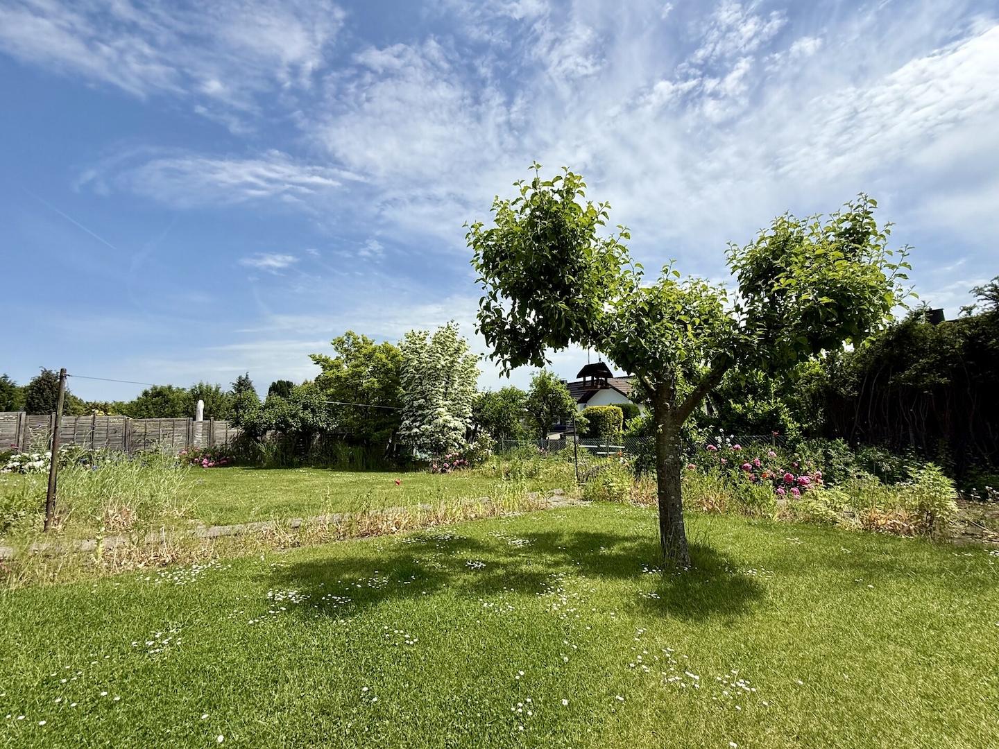 Gartenimpressionen