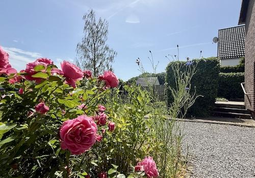 Gartenimpressionen