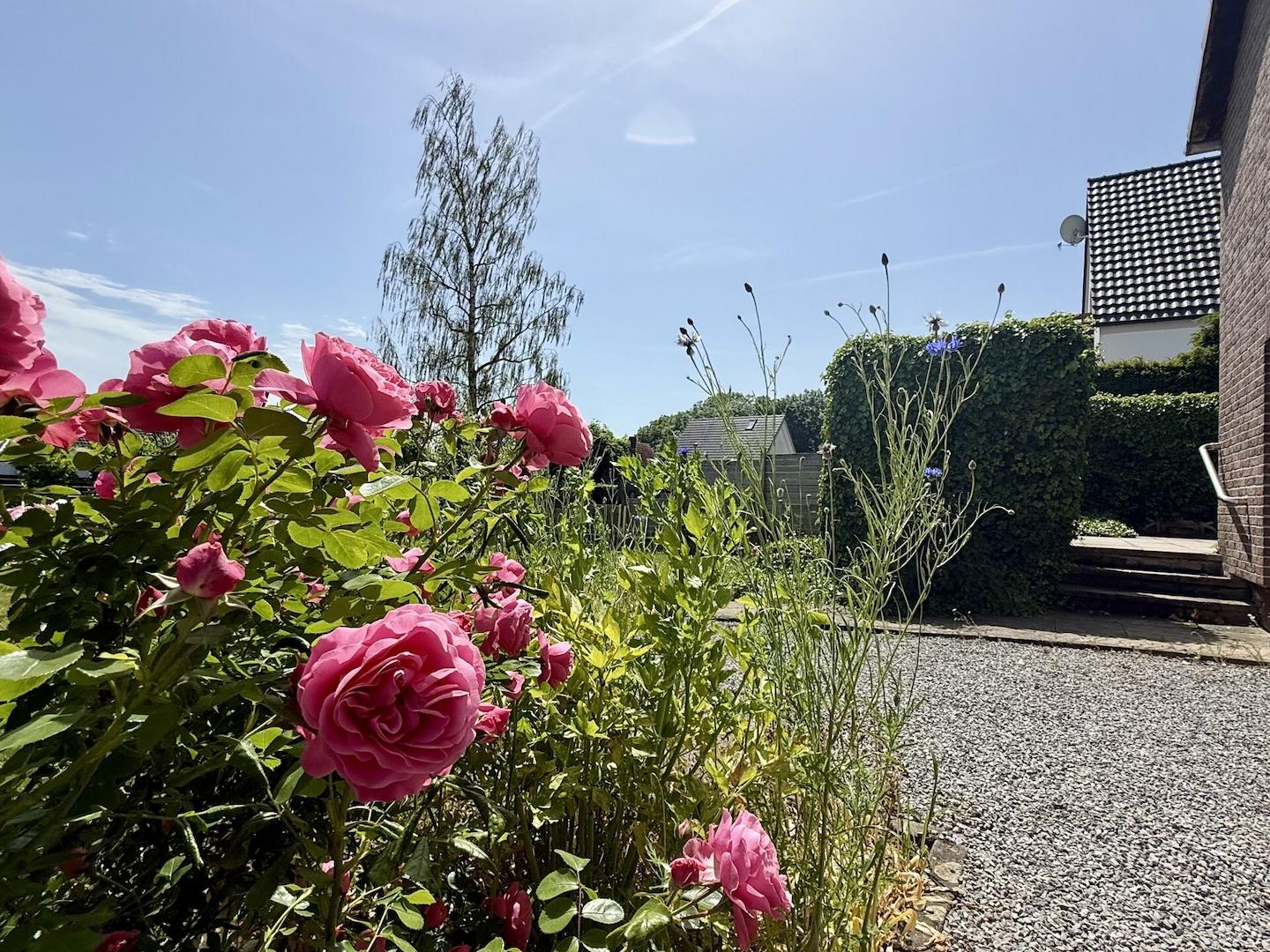 Gartenimpressionen