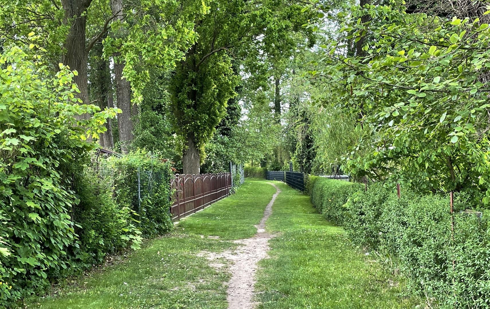 21_Spazierweg zum Wald