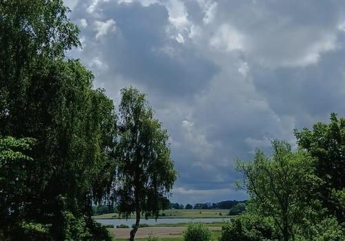 Garten mit Boddenblick