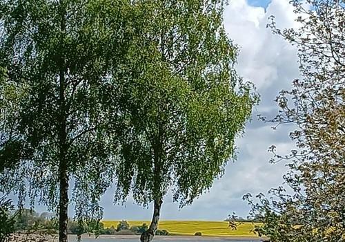Garten mit Boddenblick