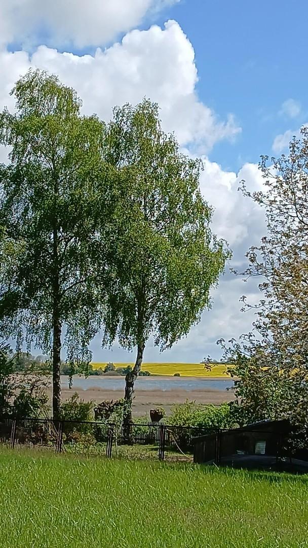 Garten mit Boddenblick