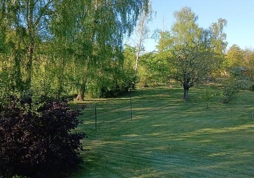 Garten mit Obstbäumen