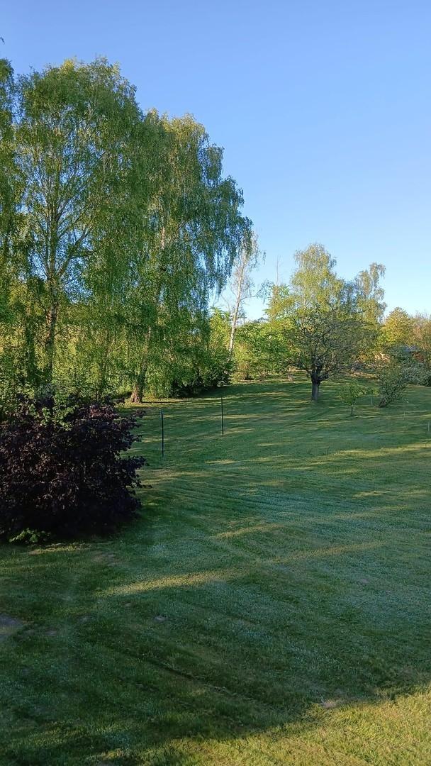 Garten mit Obstbäumen